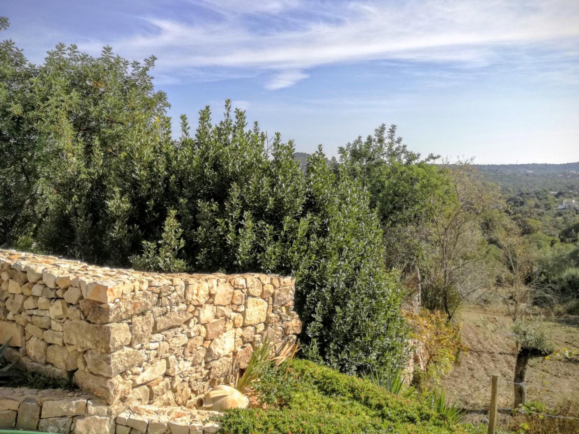 Monte Da Ribeira Villa Estoi Oda fotoğraf